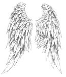 Wings_by_bigmanhaywood