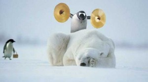 http://www.jur-linux.org/linux/pics/Penguin%20polar%20bear%20symbols.jpg