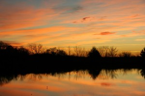 Tommy Stone Sunrise