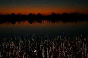 Tommy Stone Sunrise Peeping