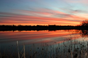 Tommy Stone Sunset